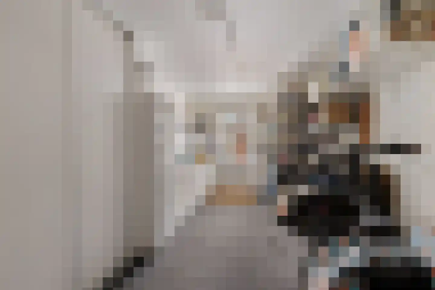 Kapelaan Jansenstrjitte 11 Sneek thumbnail 13