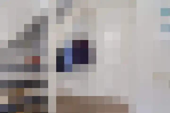 Kapelaan Jansenstrjitte 11 Sneek thumbnail 15