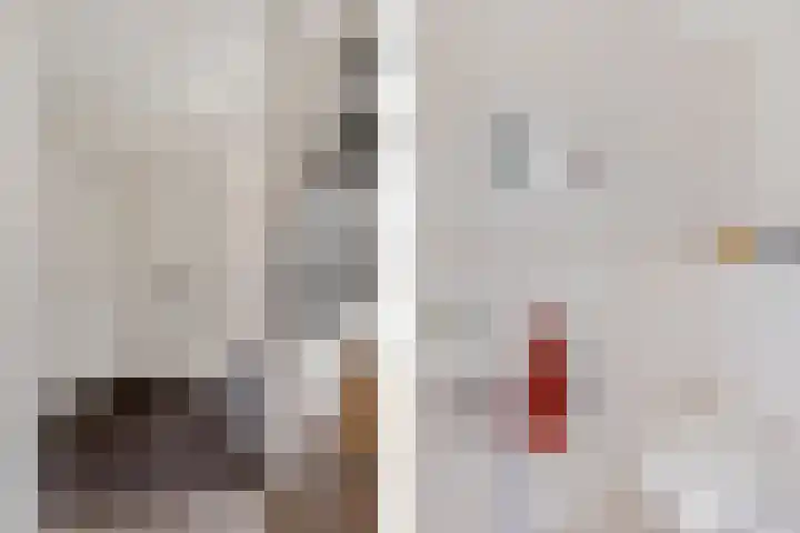 Kapelaan Jansenstrjitte 11 Sneek thumbnail 16