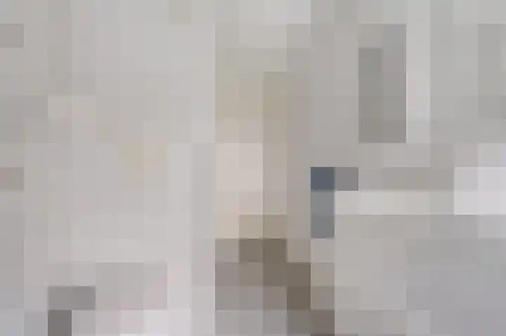 Kapelaan Jansenstrjitte 11 Sneek thumbnail 21