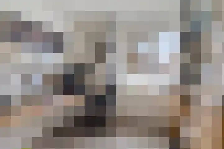 Kapelaan Jansenstrjitte 11 Sneek thumbnail 23