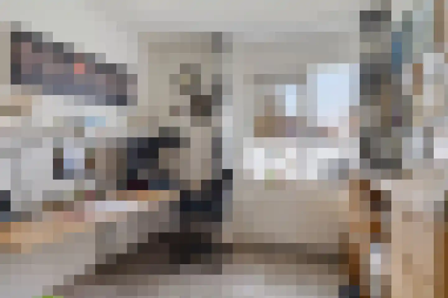 Kapelaan Jansenstrjitte 11 Sneek thumbnail 23