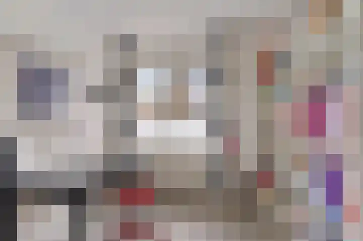 Kapelaan Jansenstrjitte 11 Sneek thumbnail 25