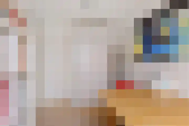 Kapelaan Jansenstrjitte 11 Sneek thumbnail 32