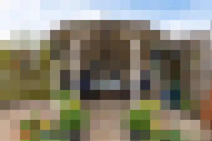 Kapelaan Jansenstrjitte 11 Sneek thumbnail 37