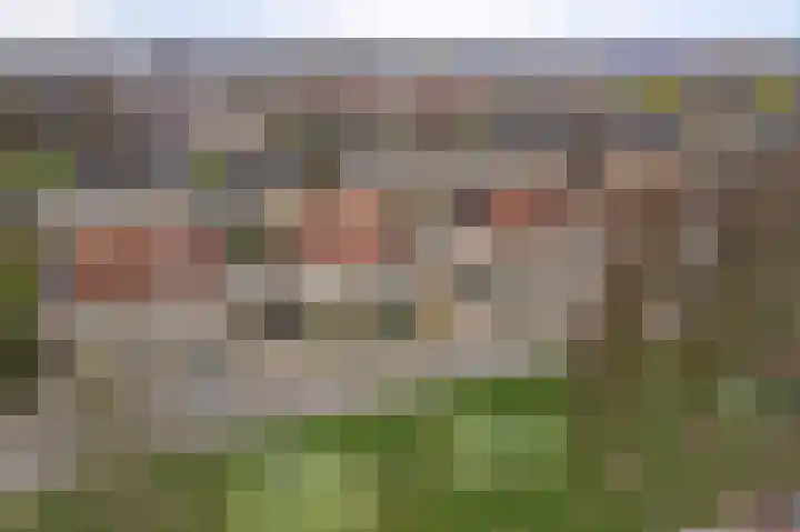 Kapelaan Jansenstrjitte 11 Sneek thumbnail 44