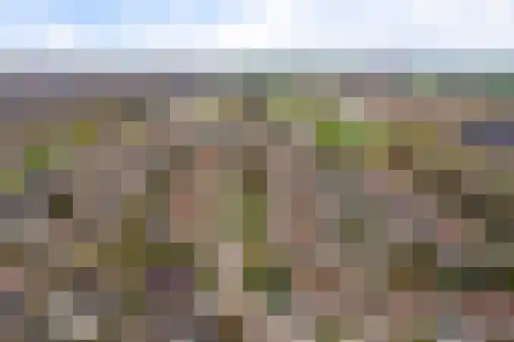 Kapelaan Jansenstrjitte 11 Sneek thumbnail 46
