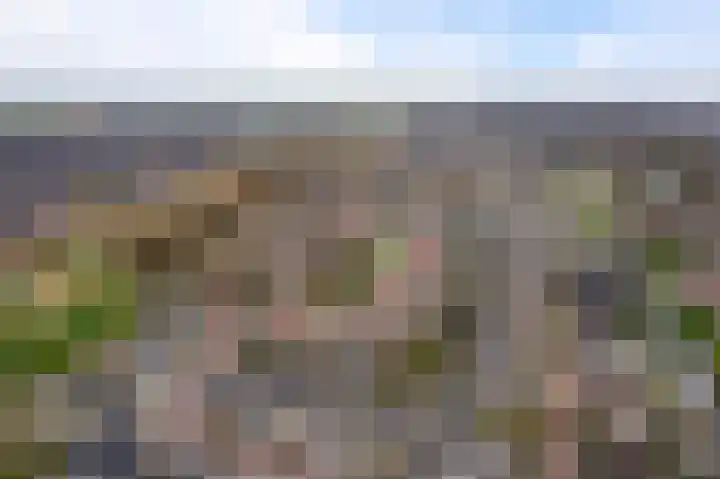 Kapelaan Jansenstrjitte 11 Sneek thumbnail 48
