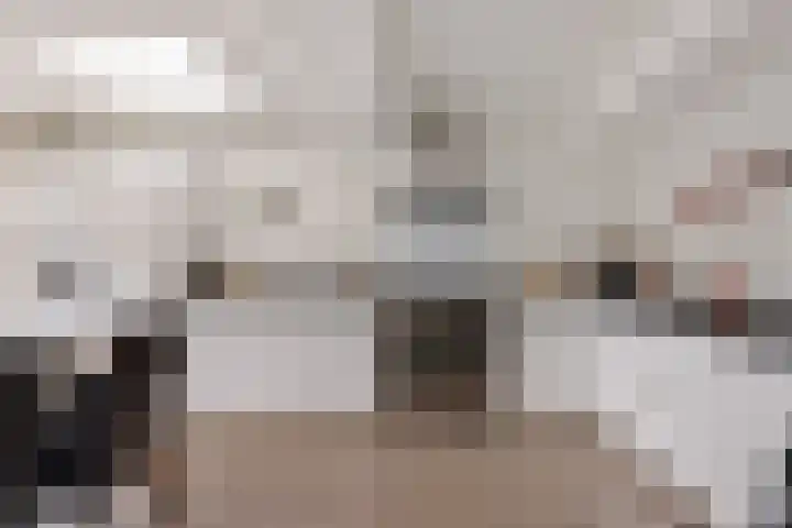 Kapelaan Jansenstrjitte 11 Sneek thumbnail 6