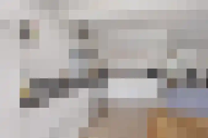 Kapelaan Jansenstrjitte 11 Sneek thumbnail 7