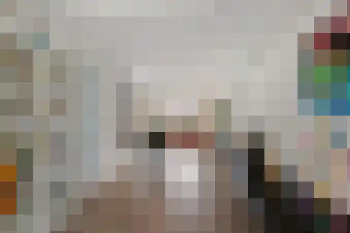 Kapelaan Jansenstrjitte 11 Sneek thumbnail 8