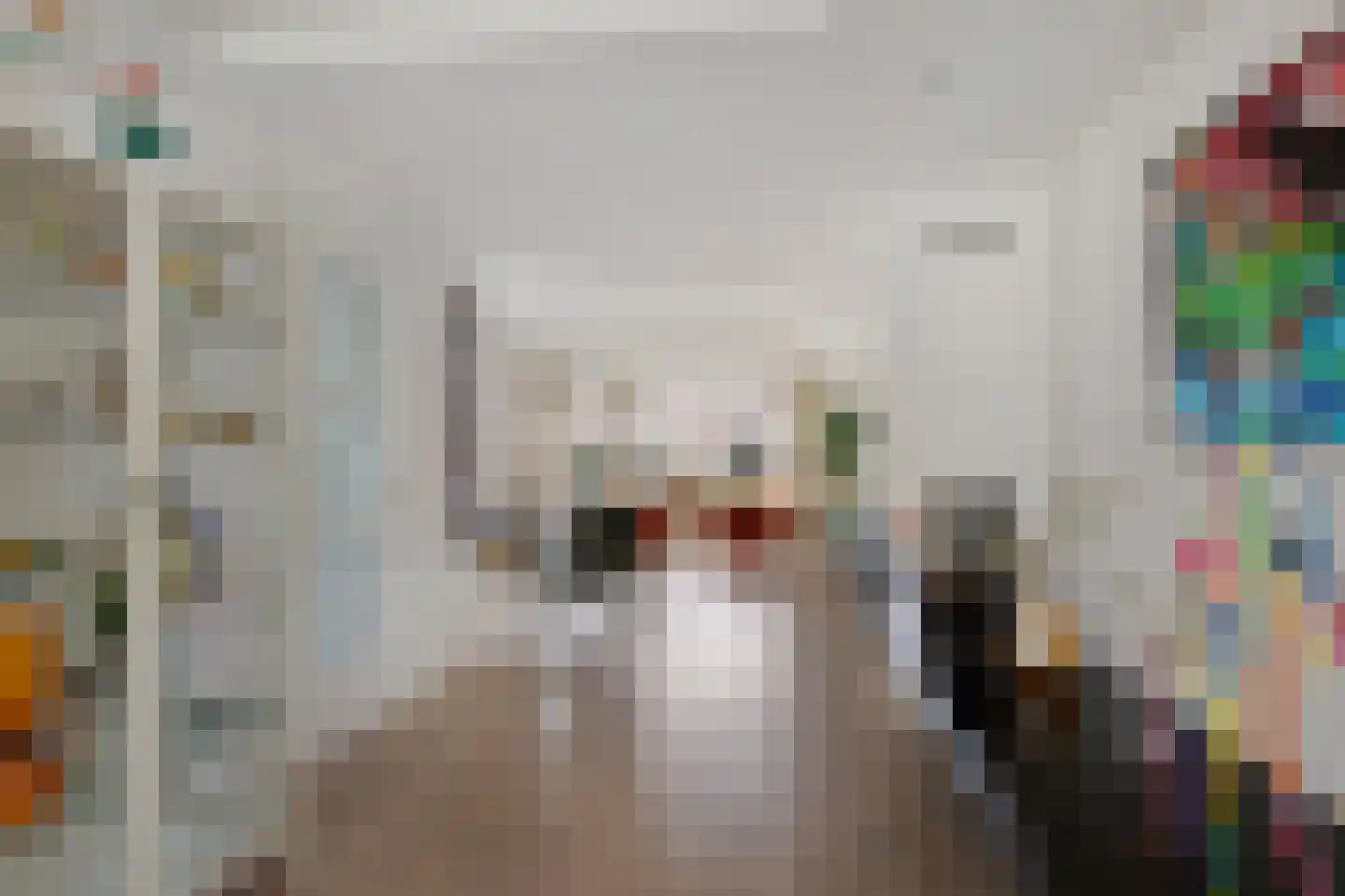 Kapelaan Jansenstrjitte 11 Sneek thumbnail 8