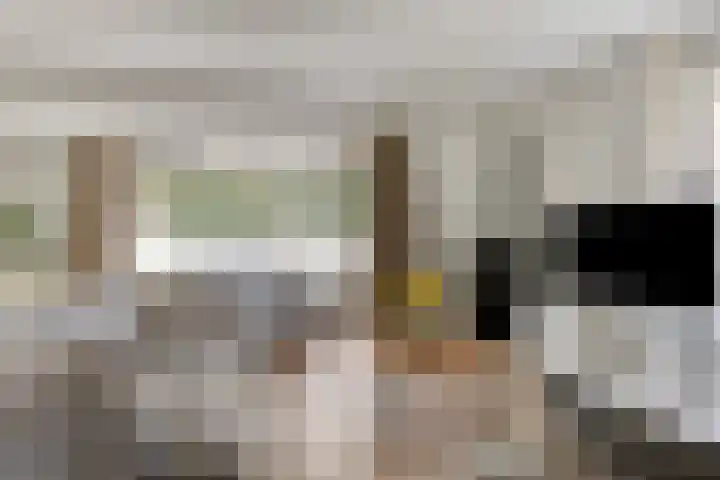 Kapelaan Jansenstrjitte 21 Sneek thumbnail 10