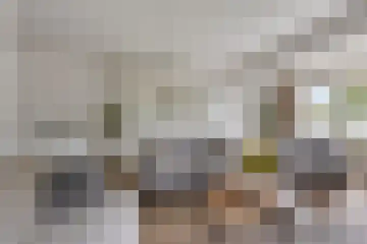 Kapelaan Jansenstrjitte 21 Sneek thumbnail 11