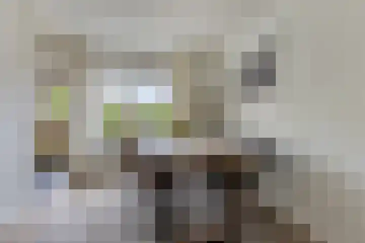 Kapelaan Jansenstrjitte 21 Sneek thumbnail 13