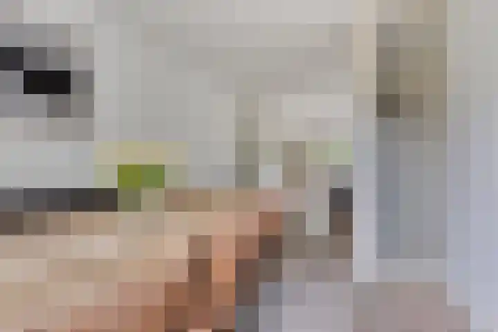 Kapelaan Jansenstrjitte 21 Sneek thumbnail 16
