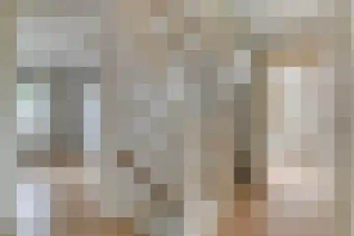 Kapelaan Jansenstrjitte 21 Sneek thumbnail 20