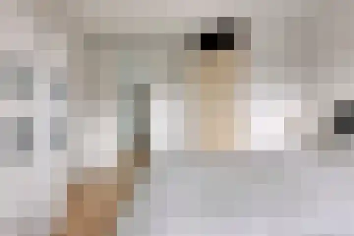 Kapelaan Jansenstrjitte 21 Sneek thumbnail 22