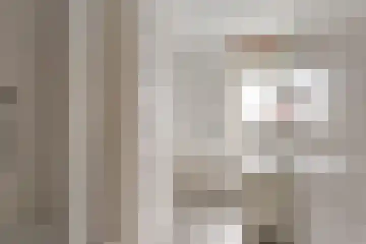 Kapelaan Jansenstrjitte 21 Sneek thumbnail 23