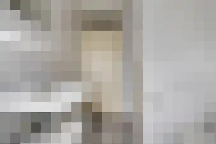 Kapelaan Jansenstrjitte 21 Sneek thumbnail 26
