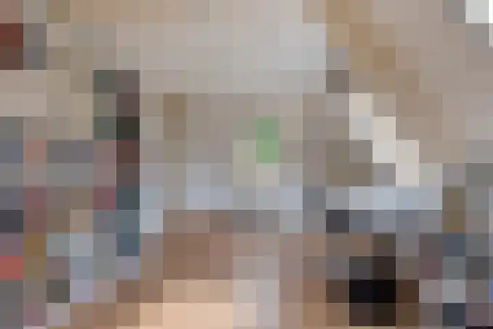 Kapelaan Jansenstrjitte 21 Sneek thumbnail 27