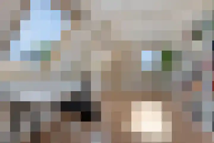 Kapelaan Jansenstrjitte 21 Sneek thumbnail 28