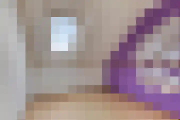 Kapelaan Jansenstrjitte 21 Sneek thumbnail 35