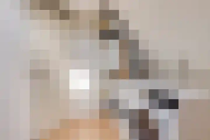 Kapelaan Jansenstrjitte 21 Sneek thumbnail 37