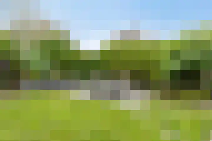 Kapelaan Jansenstrjitte 21 Sneek thumbnail 39