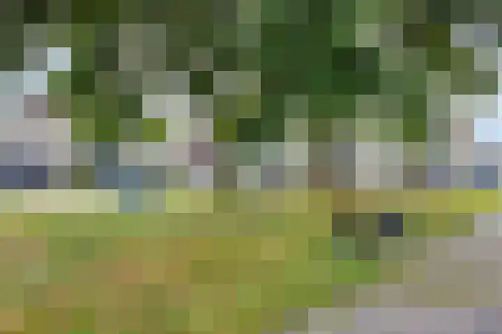 Kapelaan Jansenstrjitte 21 Sneek thumbnail 41
