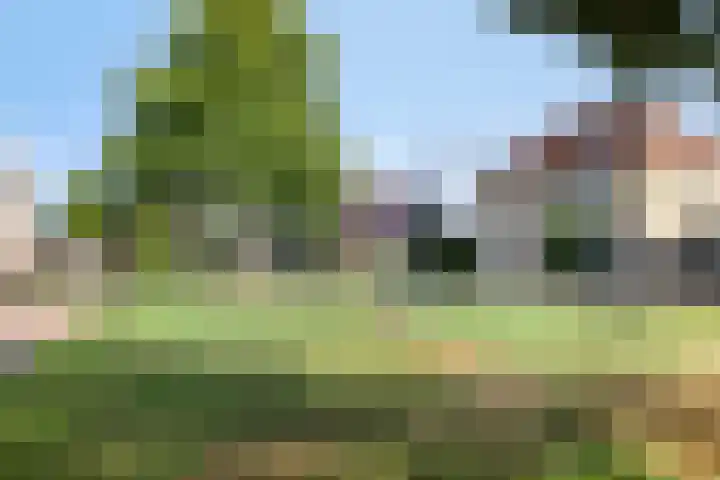 Kapelaan Jansenstrjitte 21 Sneek thumbnail 42