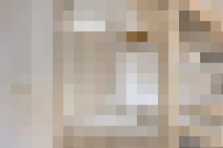 Kapelaan Jansenstrjitte 21 Sneek thumbnail 9