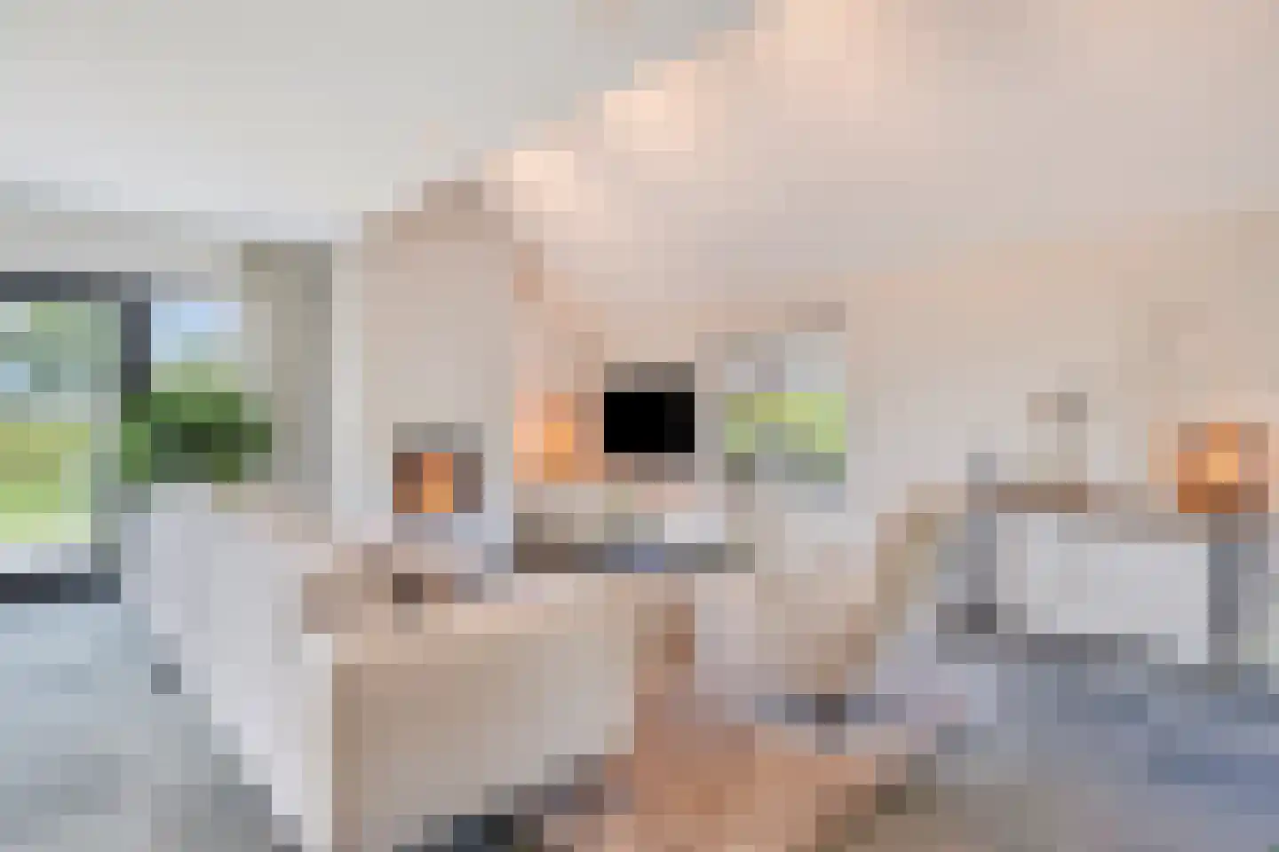 Kapelaan Kockstraat 77 Steenbergen thumbnail 9