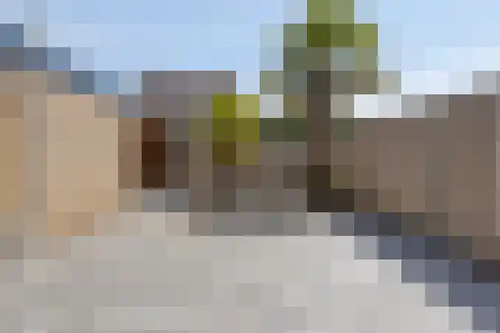 kapelaan Koningstraat 31 's-Heerenhoek thumbnail 19