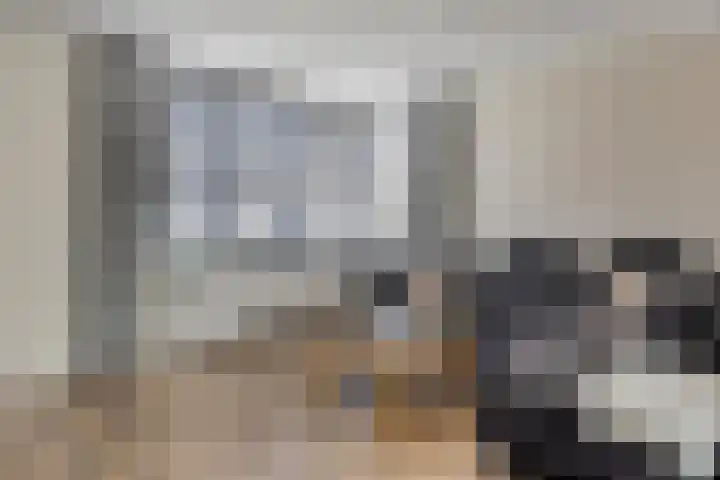 kapelaan Koningstraat 31 's-Heerenhoek thumbnail 5