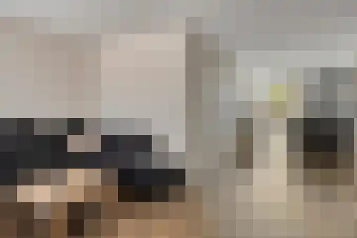 kapelaan Koningstraat 31 's-Heerenhoek thumbnail 6