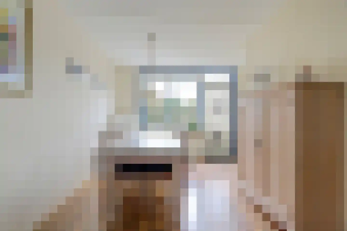 kapelaan Koningstraat 33 's-Heerenhoek thumbnail 8