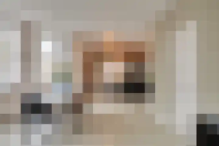 Kapelaan Koopmansplein 113 B 's-Hertogenbosch thumbnail 11