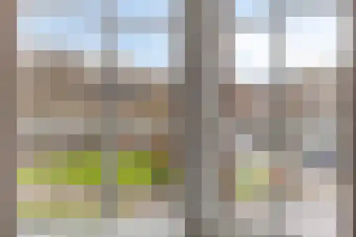Kapelaan Koopmansplein 113 B 's-Hertogenbosch thumbnail 13