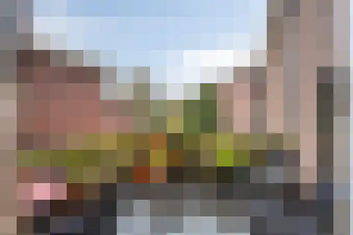Kapelaan Koopmansplein 113 B 's-Hertogenbosch thumbnail 4