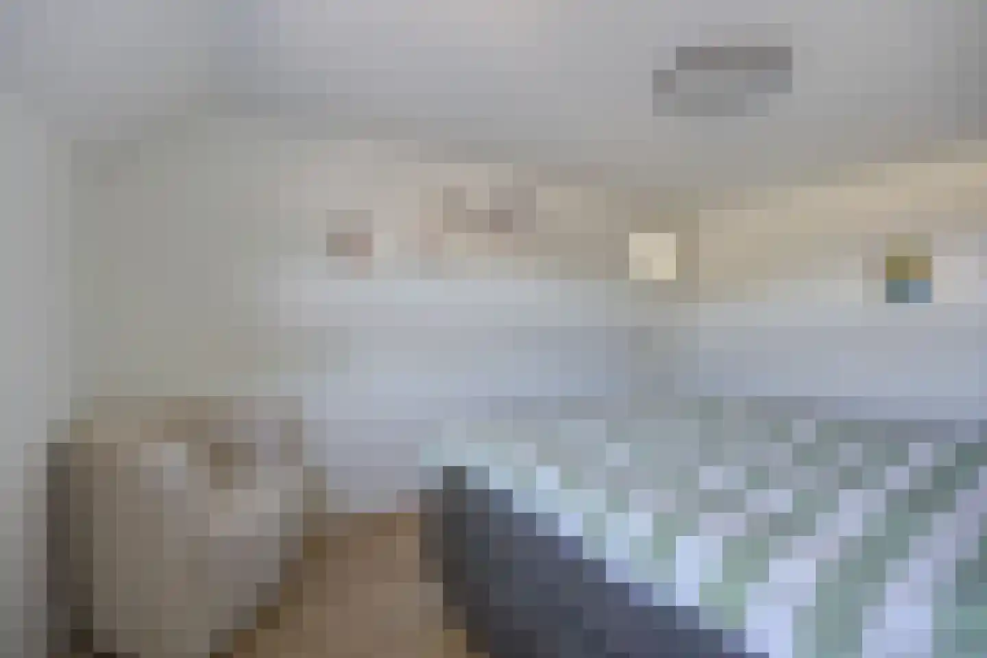 Kapelaan L. de Nijsstraat 6 Rijsbergen thumbnail 26