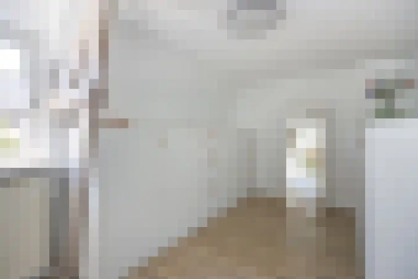 Kapelaan L. de Nijsstraat 6 Rijsbergen thumbnail 28