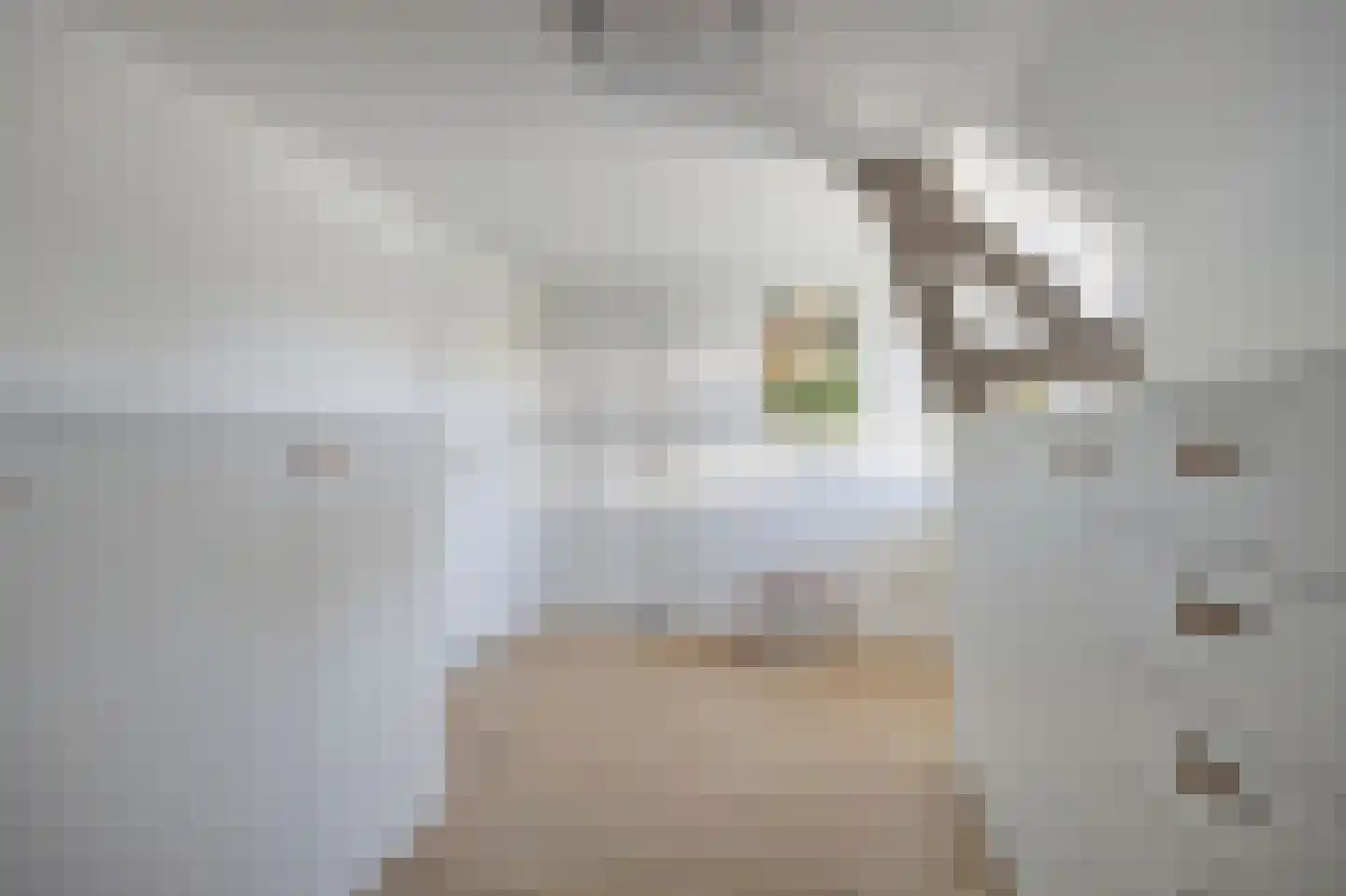 Kapelaan L. de Nijsstraat 6 Rijsbergen thumbnail 29