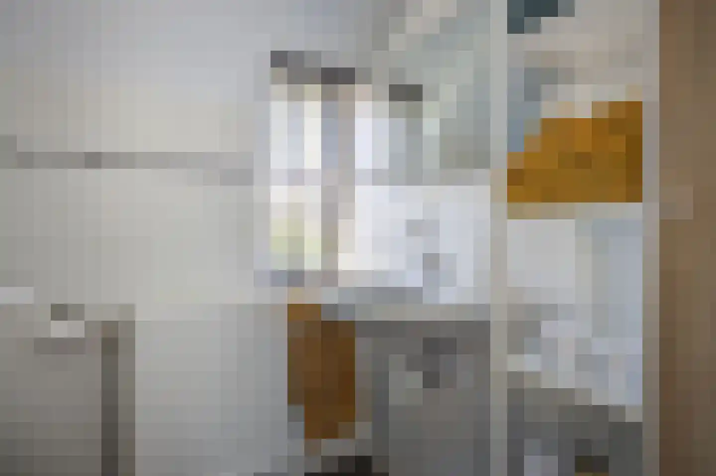 Kapelaan L. de Nijsstraat 6 Rijsbergen thumbnail 32