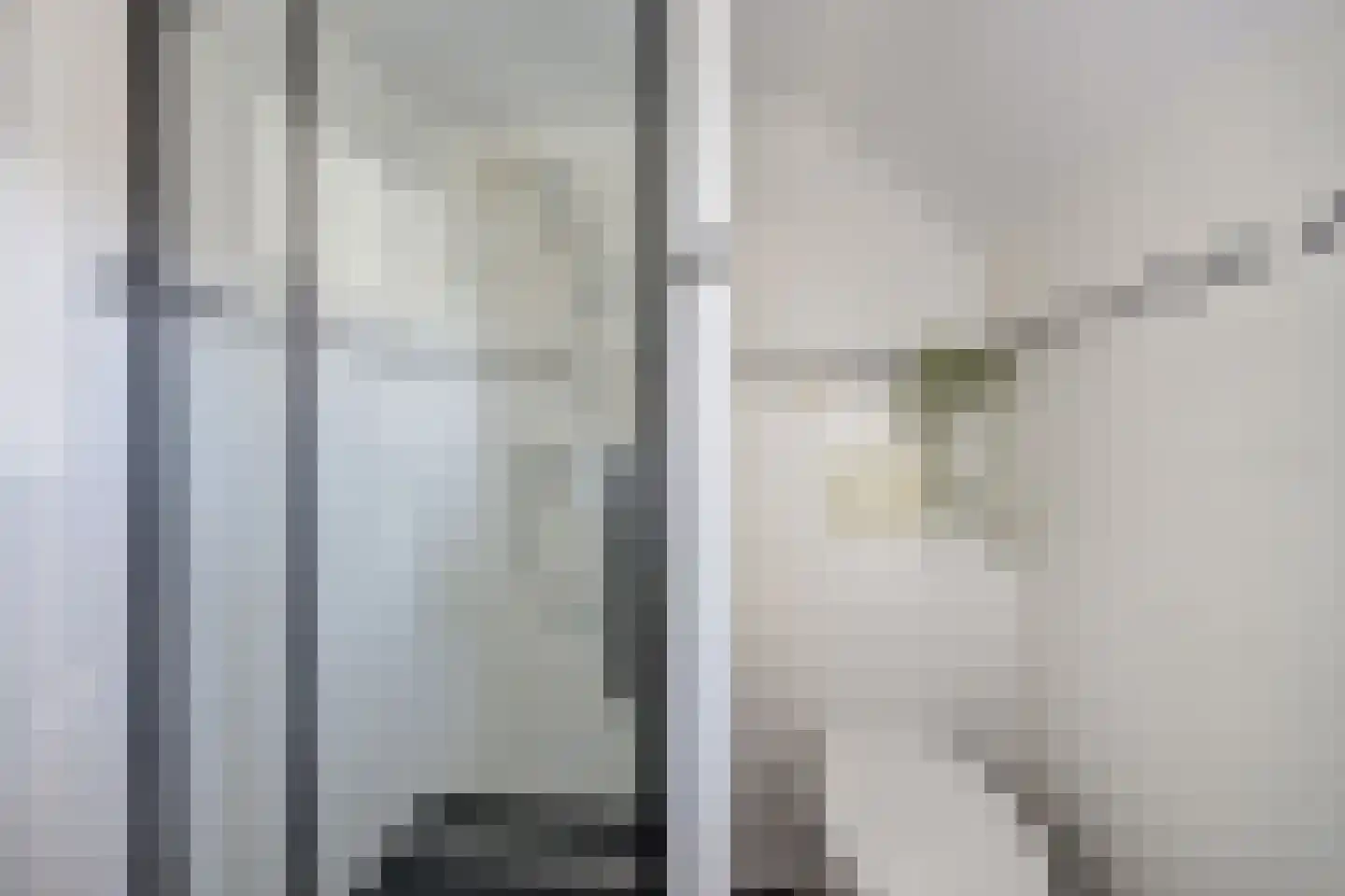 Kapelaan L. de Nijsstraat 6 Rijsbergen thumbnail 33