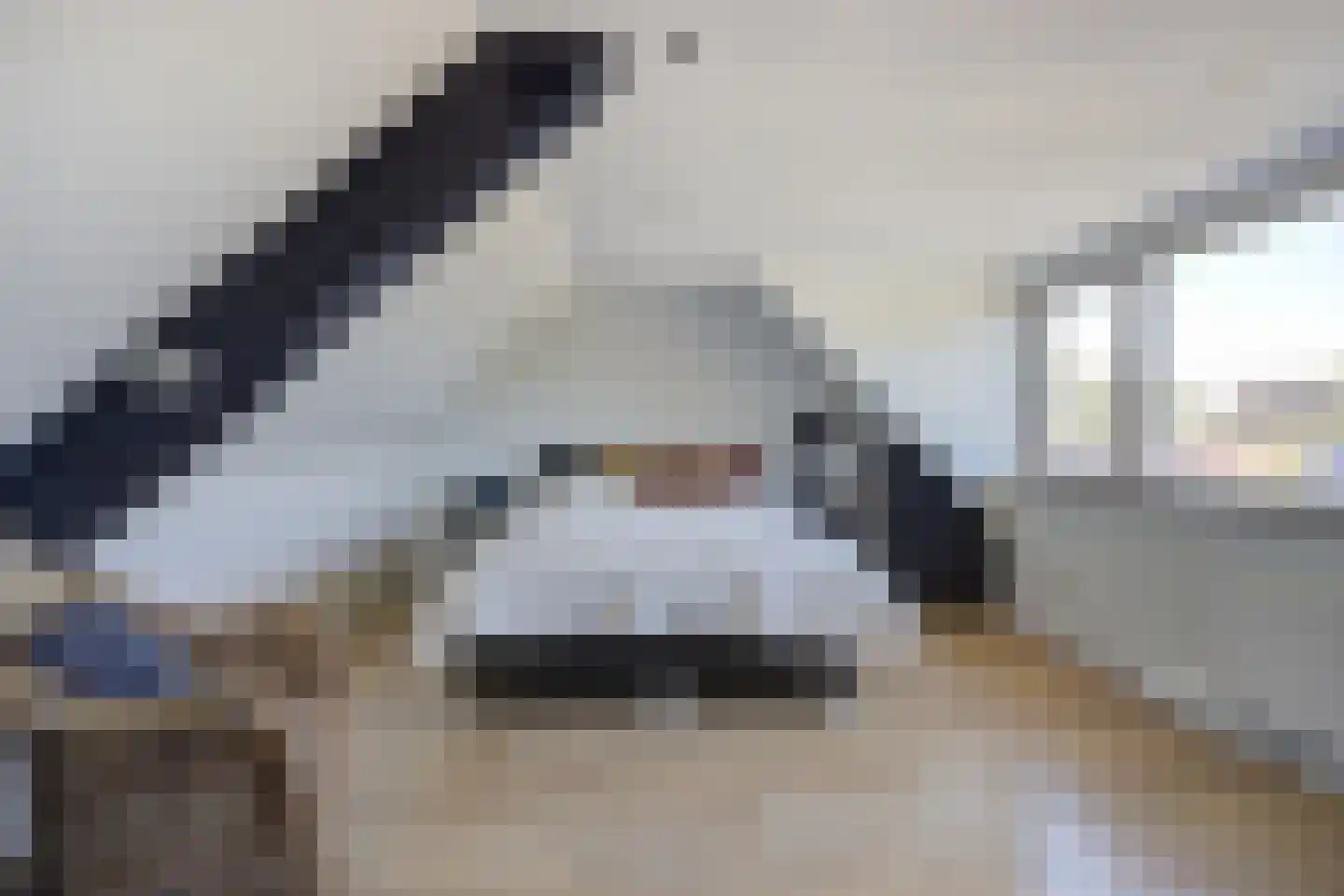 Kapelaan L. de Nijsstraat 6 Rijsbergen thumbnail 36