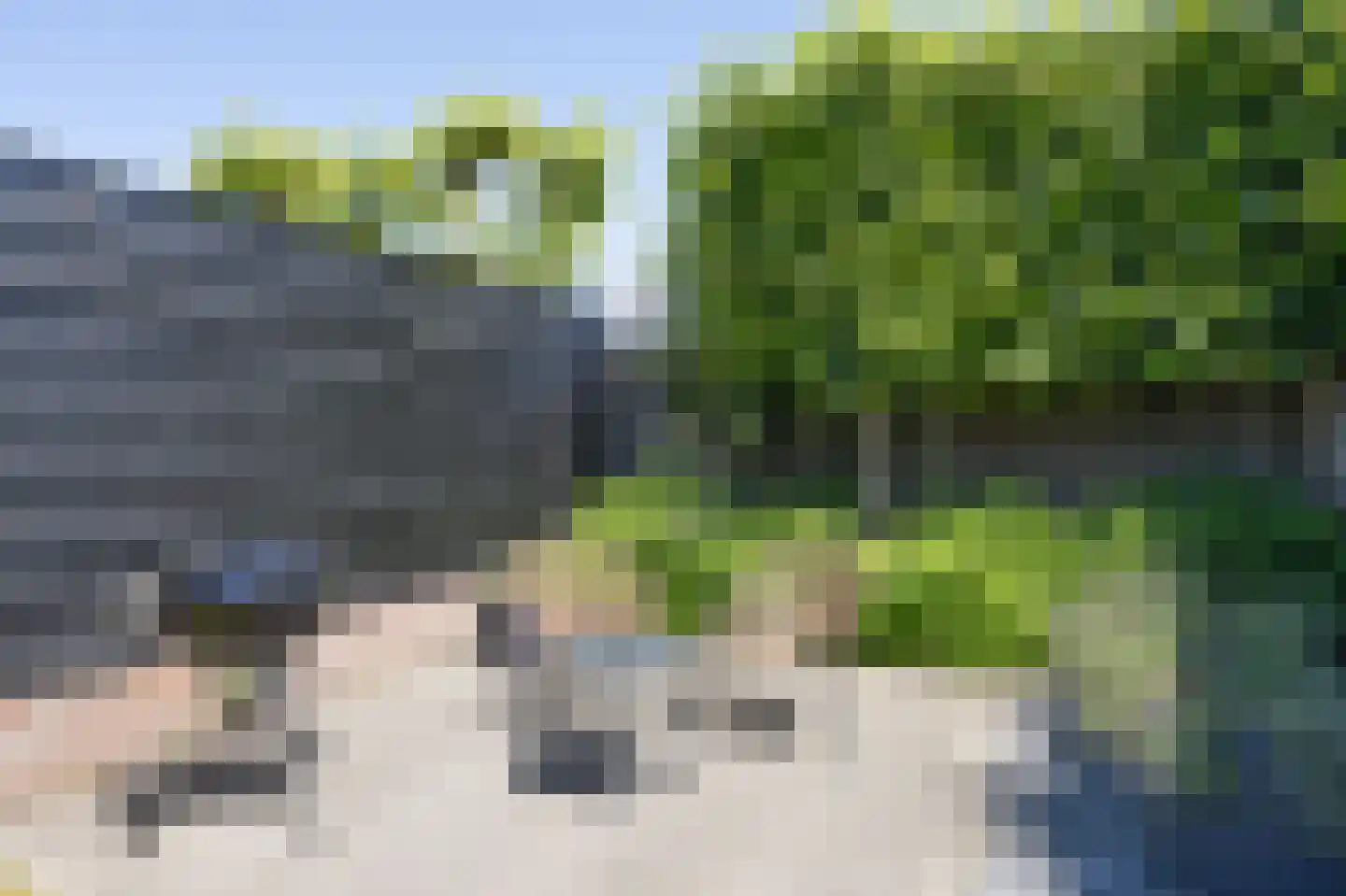 Kapelaan L. de Nijsstraat 6 Rijsbergen thumbnail 41