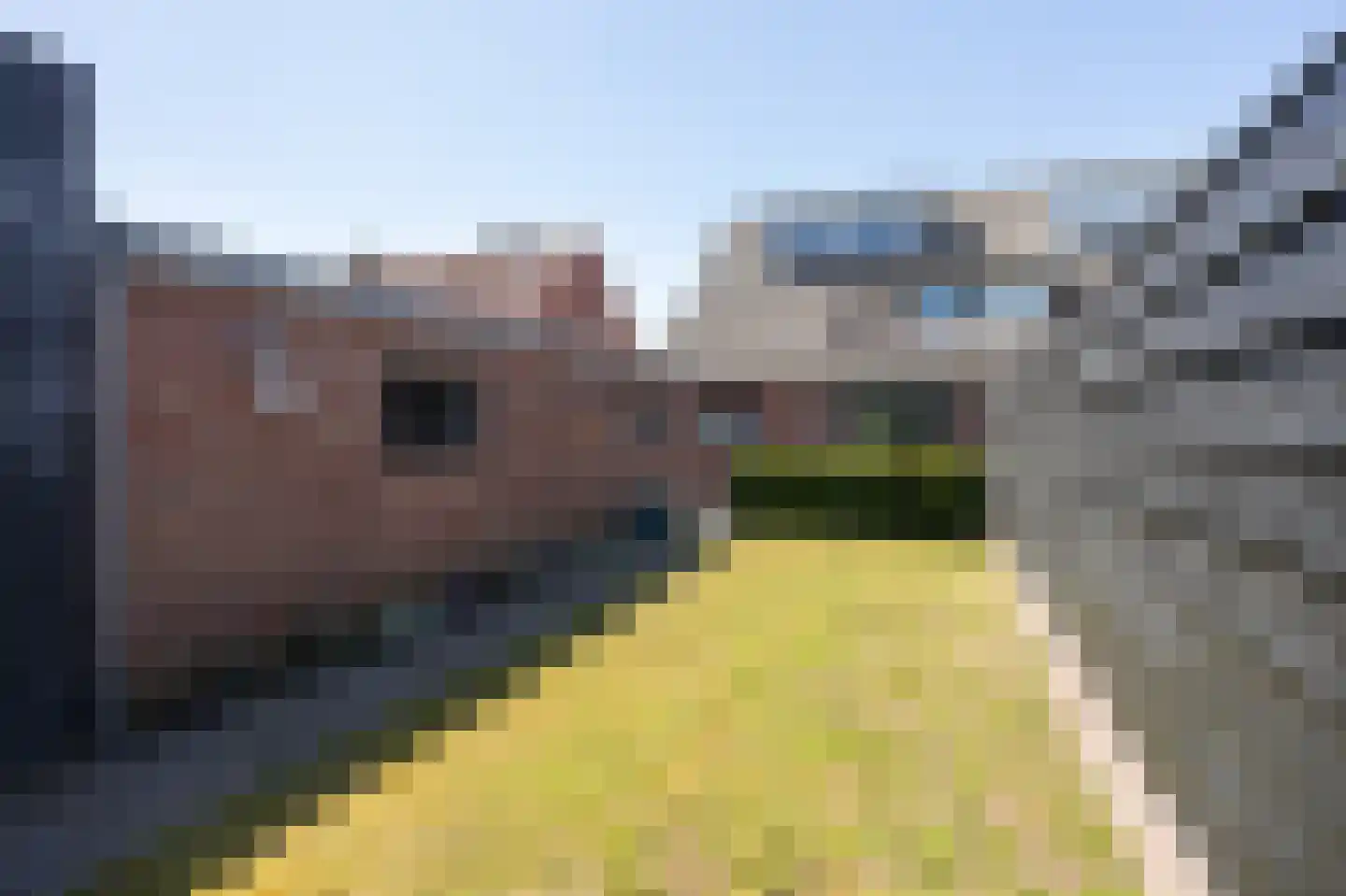 Kapelaan L. de Nijsstraat 6 Rijsbergen thumbnail 42