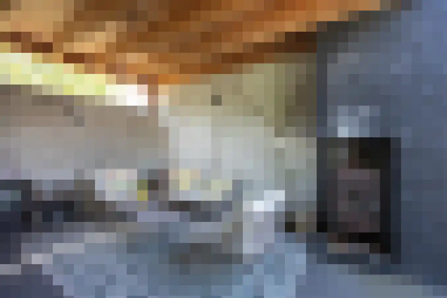 Kapelaan L. de Nijsstraat 6 Rijsbergen thumbnail 45