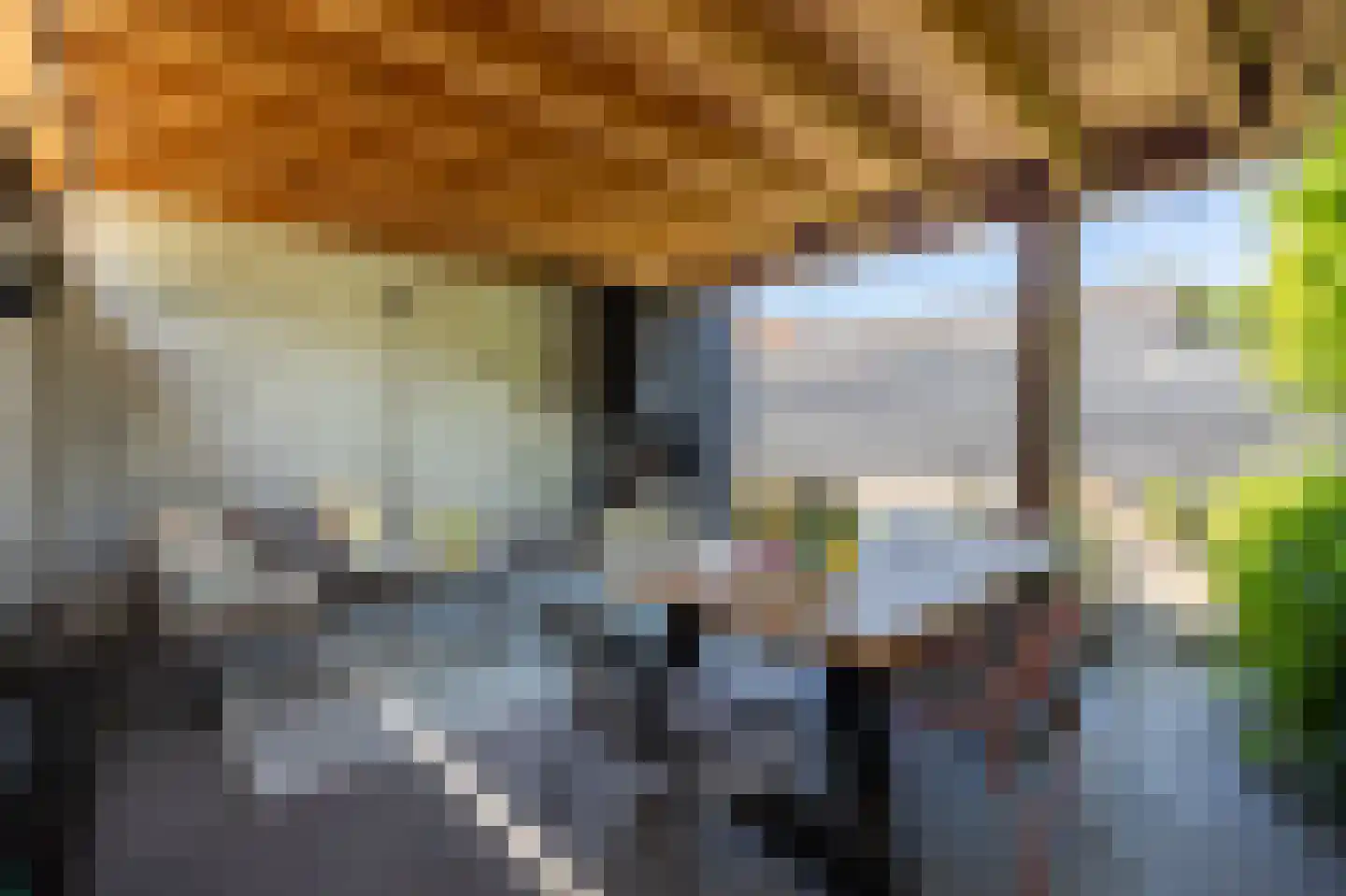 Kapelaan L. de Nijsstraat 6 Rijsbergen thumbnail 46